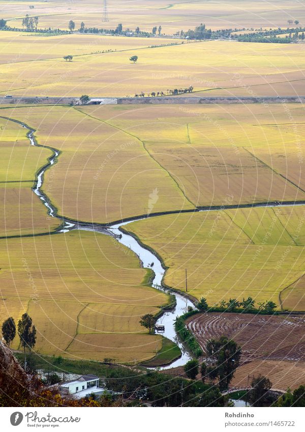 River fields II Rice Vacation & Travel Tourism Adventure Far-off places Freedom Agriculture Forestry Environment Nature Landscape Earth Water Field Vietnam Asia