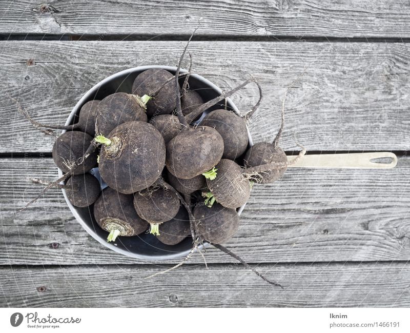 black radish Vegetable Radish winter vegetables Pan Healthy Bird's-eye view Still Life Super Still Life Black Winter Eating Vitamin Tangy Domestic Biological