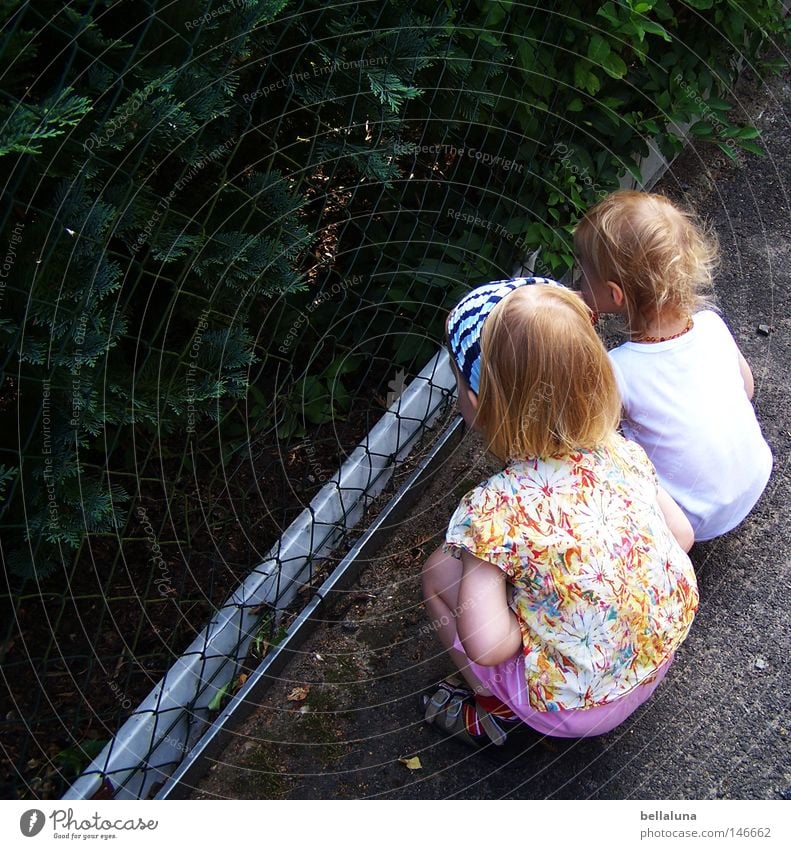 onlookers Child Toddler Tree Bushes Street Crouch Curiosity Fence Vantage point Colour photo Multicoloured Exterior shot Morning Day Observe Wire netting fence