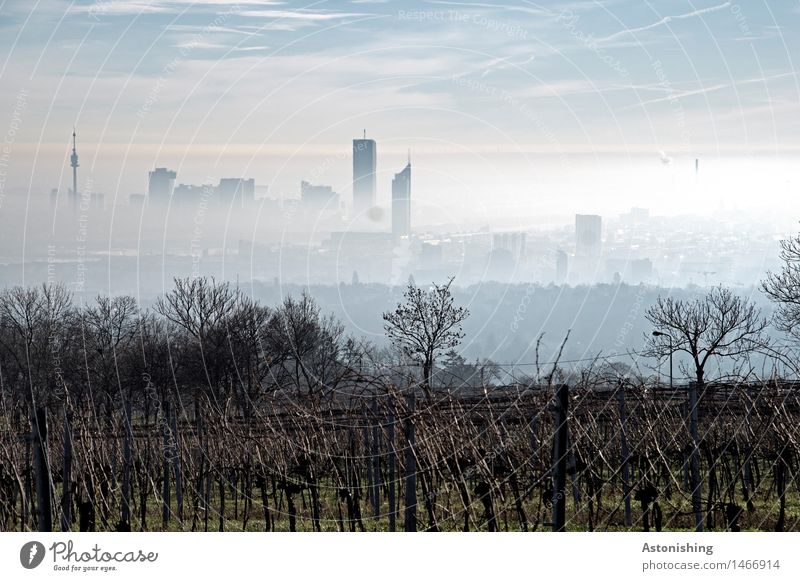 Fog over Vienna III Environment Nature Landscape Plant Sky Horizon Autumn Weather Grass Bushes Forest Hill Austria Town Capital city Skyline