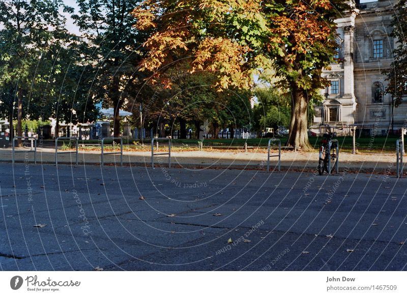 museum island Leisure and hobbies Vacation & Travel Trip Sightseeing City trip Sun Beautiful weather Tree Grass Bushes Contentment Joie de vivre (Vitality) Life