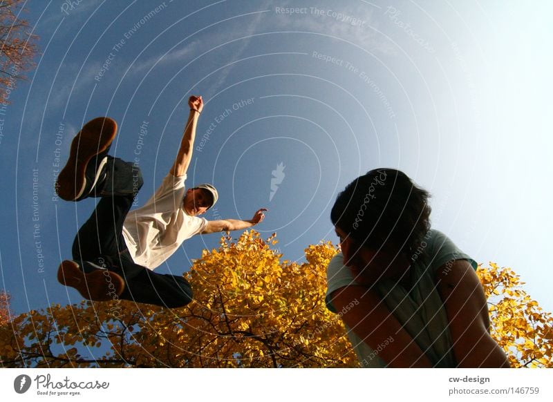 Pure joie de vivre Tree Autumn Woman Man Masculine Feminine Playing Body tension Leisure and hobbies Calm Human being Fellow Light Shadow Beautiful weather Jump