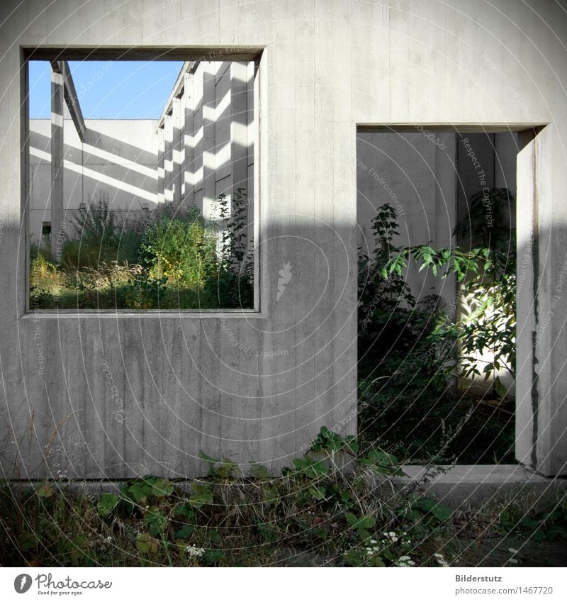 ROOMS Garden House building Redecorate Interior design Room Economy Art Architecture Nature Plant Deserted Building Wall (barrier) Wall (building) Concrete