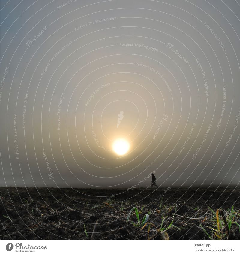 farmer seeks woman Autumn Seasons Home country Brandenburg Fog Morning Moody Lanes & trails Light Sun Stars Morning fog Leaf Nature Man Human being Hiking