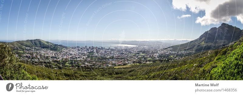 Cape Town Panorama Landscape Port City Downtown Vacation & Travel Far-off places Africa Province Western Cape South Africa Table mountain Horizon Sky