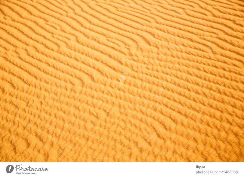 in the sahara morocco desert Beautiful Vacation & Travel Wallpaper Nature Landscape Sand Beautiful weather Virgin forest Hill Hot Brown Yellow Loneliness Idyll