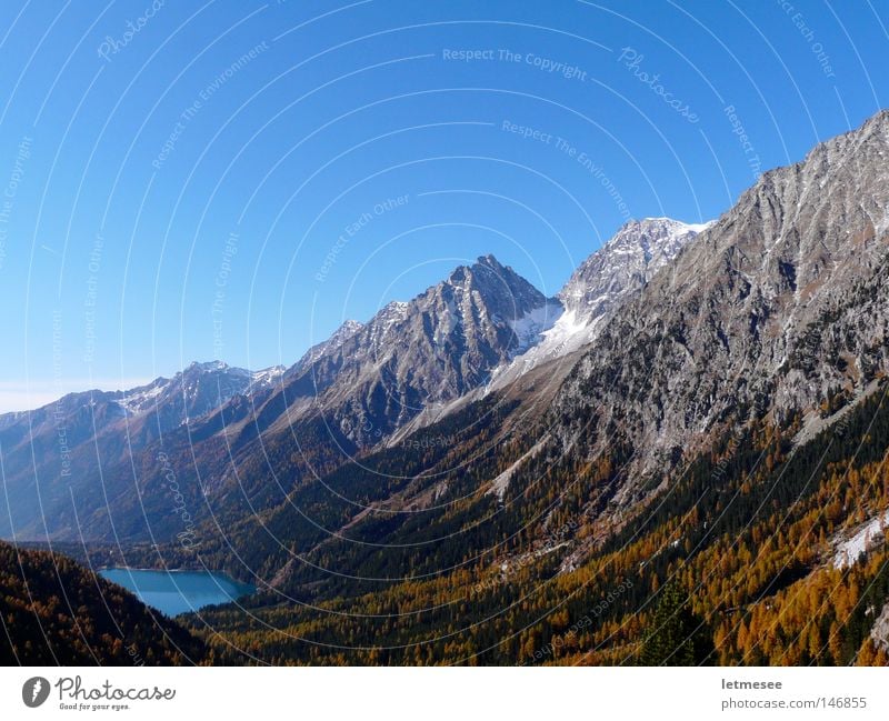 Alto Adige Autunno Autumn Multicoloured Fresh Seasons Italy Alps Austrian Alps Alpine South Tyrol Antholzer Lake Antholzer valley Larch Yellow October Mountain