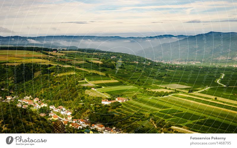 Morning fog over Furth Nature Landscape Plant Autumn Fog Field Relaxation Colour photo Exterior shot Panorama (View)