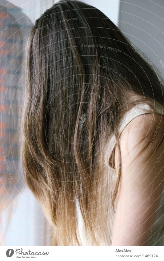 Lateral portrait of a young, dark blond woman leaning against a window pane, so that only her long hair is visible Hair and hairstyles Contentment Young woman