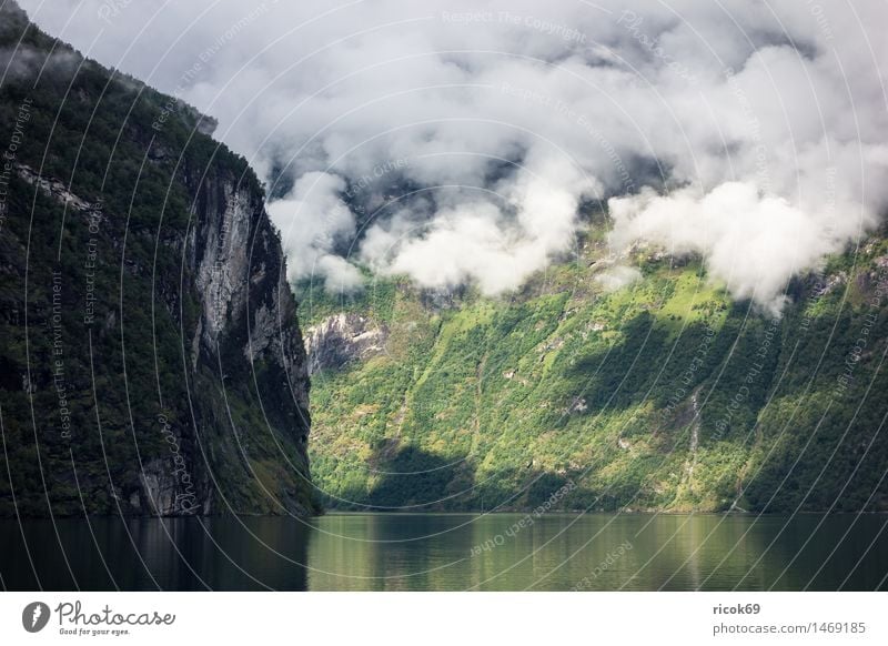 View of the Geirangerfjord Relaxation Vacation & Travel Mountain Nature Landscape Water Clouds Fog Coast Fjord Idyll Climate Tourism Norway Møre og Romsdal