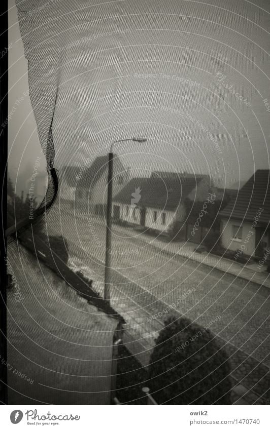 Prussia in the fog Fog Brandenburg Germany Village Populated House (Residential Structure) Wall (barrier) Wall (building) Facade Window Street Village road