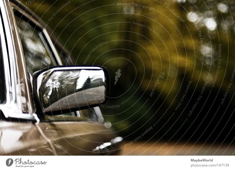 passing by Motor vehicle Car Tree Reflection Side mirror Autumn Paints and varnish Varnish Glittering Luxury