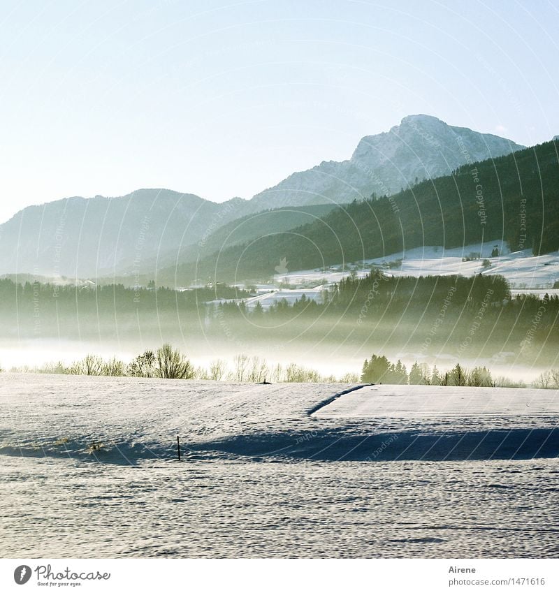 once upon a time there was III Snow Mountain Nature Elements Air Sky Winter Beautiful weather Fog Alps Allgäu Alps Peak Snowcapped peak Upper Bavaria