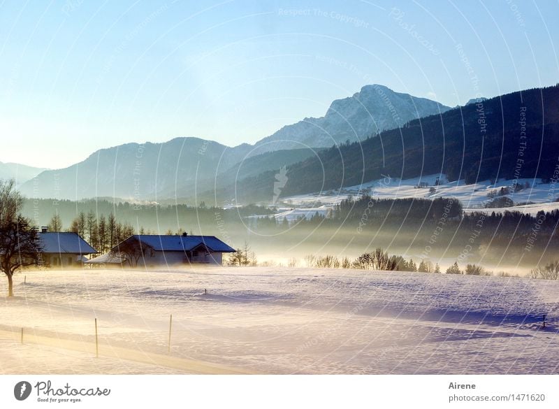 once upon a time there was VI Winter Snow Landscape Sky Cloudless sky Beautiful weather Fog Hill Alps Mountain Snowcapped peak Berchtesgaden Alpes Upper Bavaria