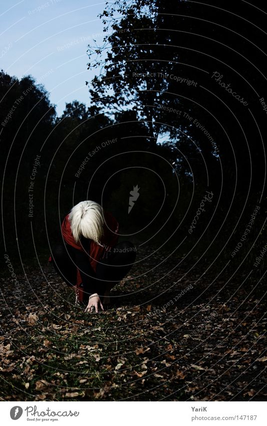 dark red II Woman Posture Leaf Autumn Dark Scarf Cape Red Black White Blonde Tree Footpath Field Meadow Bushes Hand Grief Loneliness Negative Night Evening