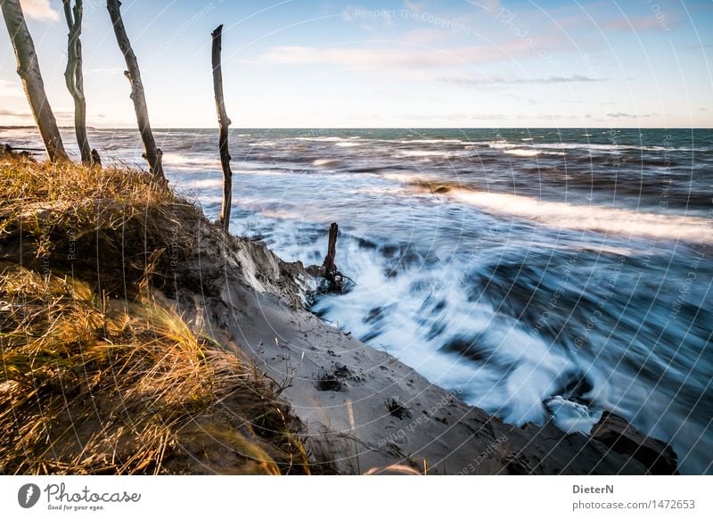 swell Beach Ocean Waves Nature Landscape Sand Water Clouds Horizon Weather Wind Gale Coast Baltic Sea Blue Yellow White Darss White crest