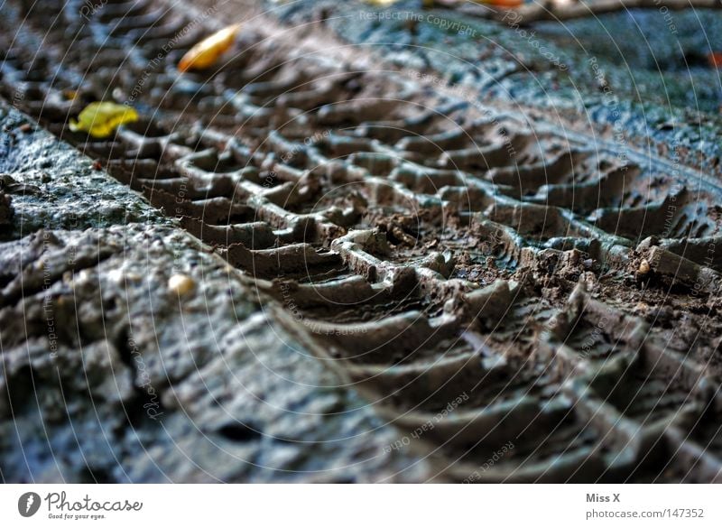 The way is the goal* ** No.100 Colour photo Exterior shot Twilight Silhouette Profile Earth Autumn Leaf Street Lanes & trails Dirty Brown Gray Sludgy Stony