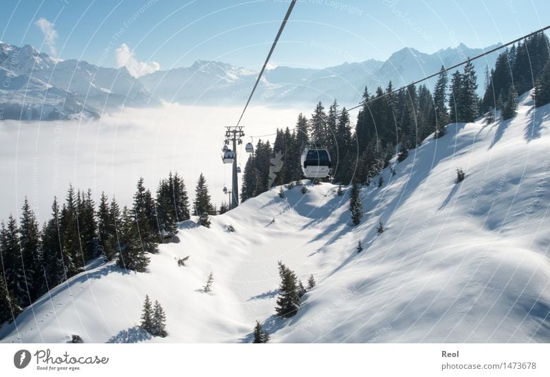 mountain railway Winter sports Nature Landscape Sky Cloudless sky Beautiful weather Snow Fir tree Forest Alps Mountain Montafon Peak Snowcapped peak Deserted