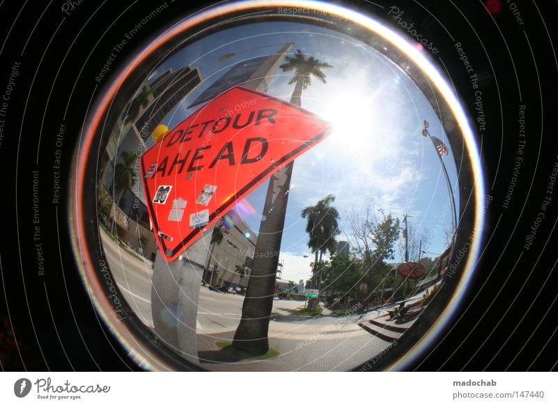 WELCOME TO MIAMI Palm tree Sun Vacation & Travel Americas Miami Physics Hot Beach Summer Round Fisheye Multicoloured Florida Back-light USA Street sign Sky