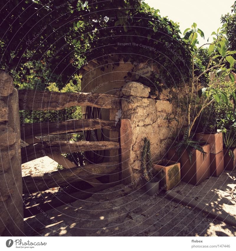 paradise Mount Eden Fold Greenhouse Growth Flower Flowerpot Orange Tree Cactus Wooden gate Gardenhouse Wall (barrier) Mysterious Majorca Spain Small Town