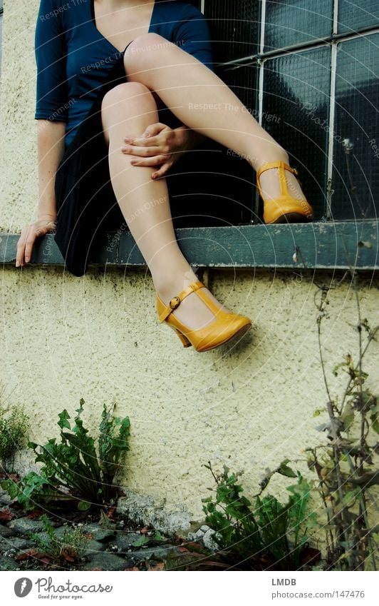 I'm still waiting for you... Footwear Buckle Autumn Window Windowsill Yellow Woman Hand Knee Dress Window pane Headless Roadside Wall (barrier) Thin Delicate