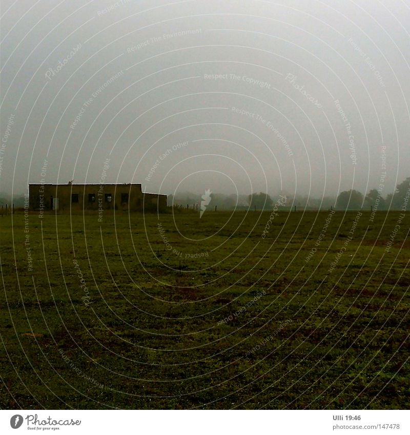 The fog and the nothingness. Colour photo Subdued colour Exterior shot Deserted Copy Space top Copy Space bottom Dawn Long shot Calm Landscape Autumn Fog Meadow