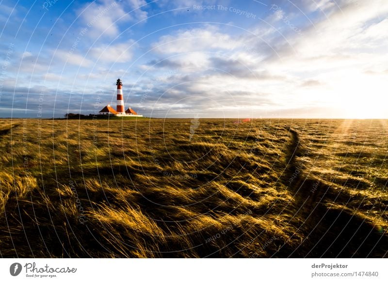 Lighthouse Westerhever and sunlamps Vacation & Travel Tourism Trip Adventure Far-off places Freedom Environment Nature Landscape Plant Winter North Sea Island