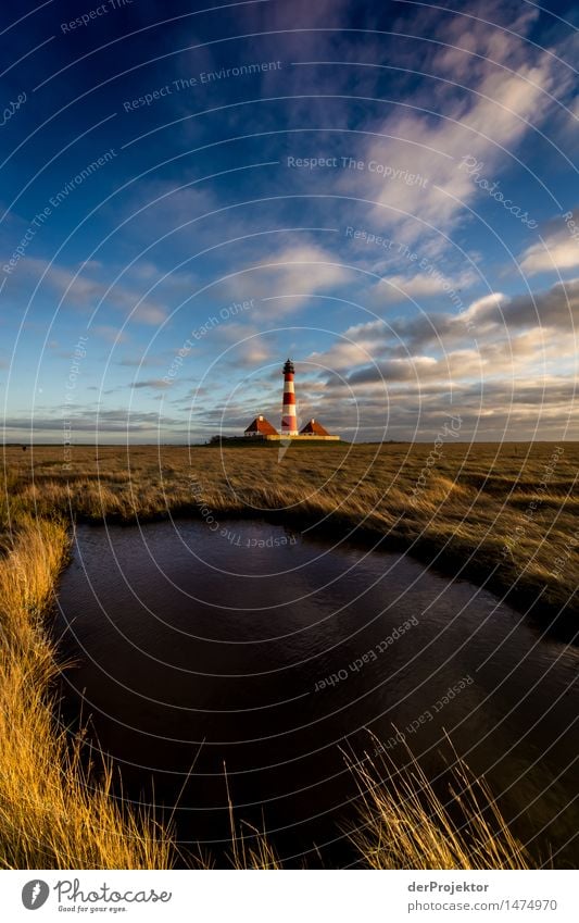 Lighthouse at the small pond Vacation & Travel Tourism Trip Adventure Far-off places Freedom Sightseeing Hiking Environment Nature Landscape Plant Winter