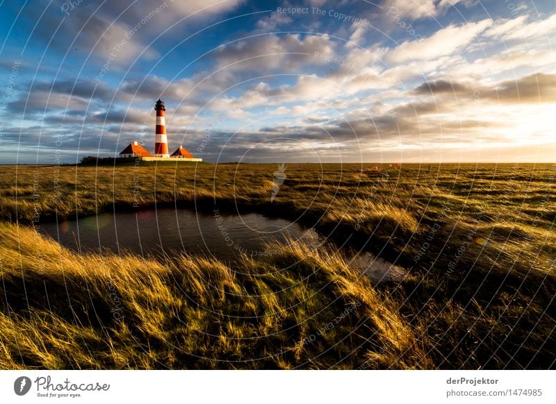 Winter at the lighthouse Westerhever Vacation & Travel Tourism Trip Far-off places Freedom Sightseeing Hiking Environment Nature Landscape Plant Animal