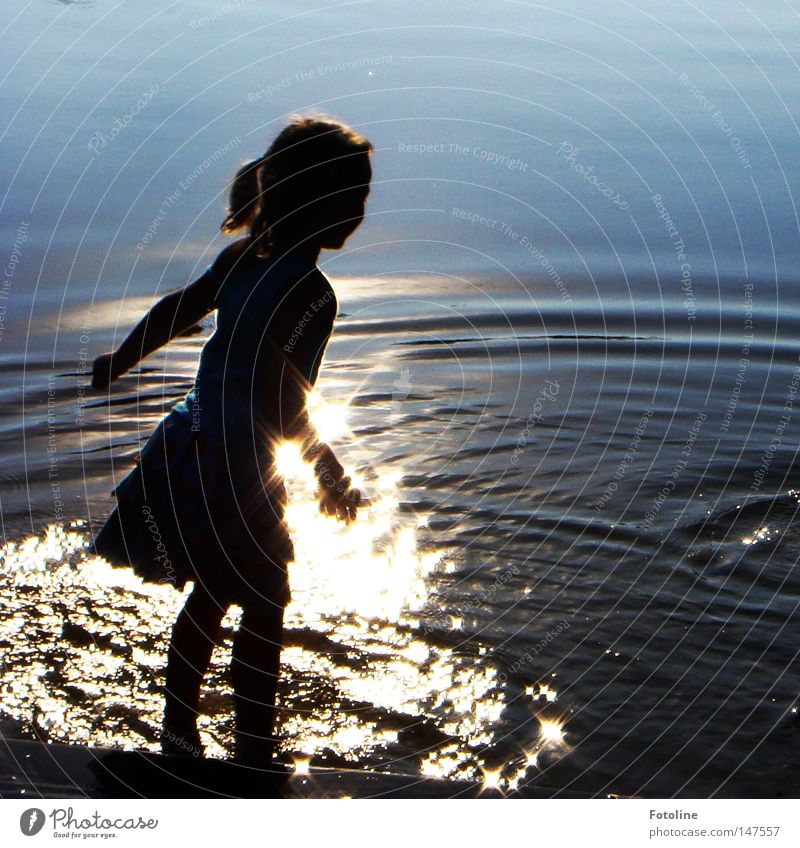 summer evening Colour photo Exterior shot Copy Space right Day Evening Silhouette Reflection Light (Natural Phenomenon) Hair and hairstyles Summer Sun Waves