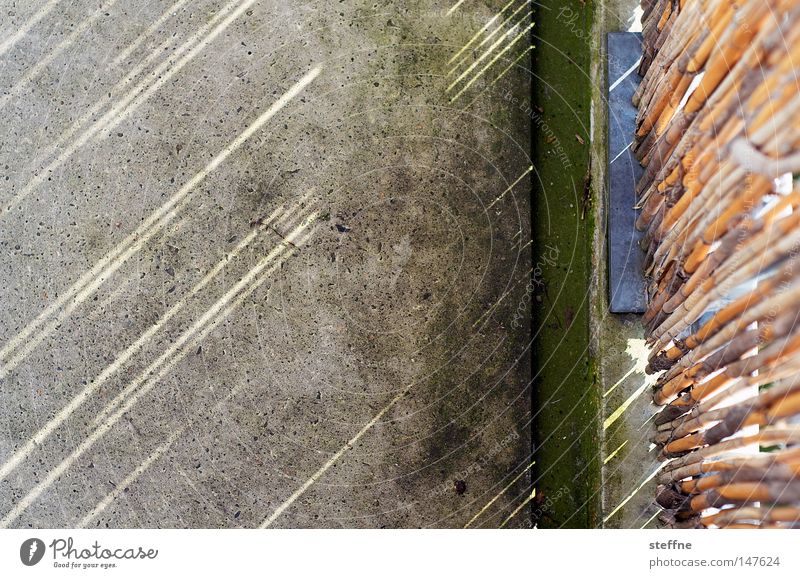 The last remnant sun Sunbeam Balcony Common Reed Furrow Lighting Permeate Pattern Living or residing Flat (apartment) Detail Living room