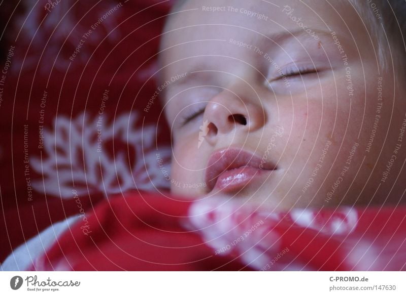 Boy sleeps peacefully in bed Boy (child) Child Sleep Dream midday nap Bed Infancy Light heartedness Cute Small Toddler Mouth Closed eyes Relaxation Night Feeble