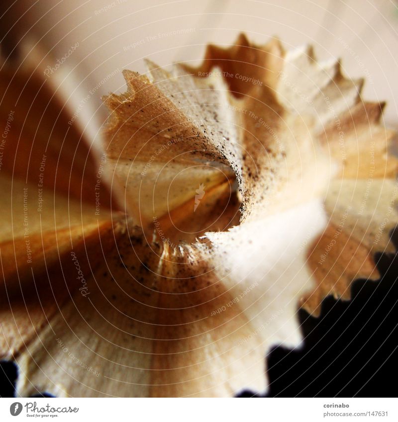 office work Pencil Wood Things Brown Beige Lead Macro (Extreme close-up) Zigzag Wavy line Close-up Trash Remainder Pointed Stationery Shallow depth of field