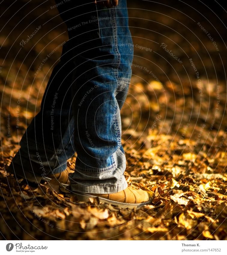 autumn feet Autumn Seasons Gold Leaf Pants Jeans Denim Footwear Boots Woodground Feet Legs jean