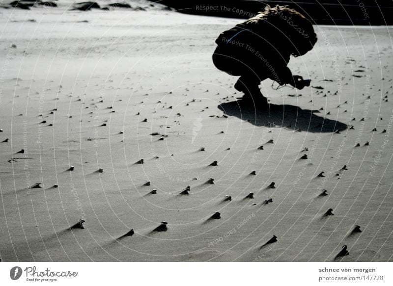 motive found Beach North Sea Wind Water Lake Shadow Human being Woman Photographer Take a photo Crooked Posture Mussel Sand Mud flats Low tide High tide