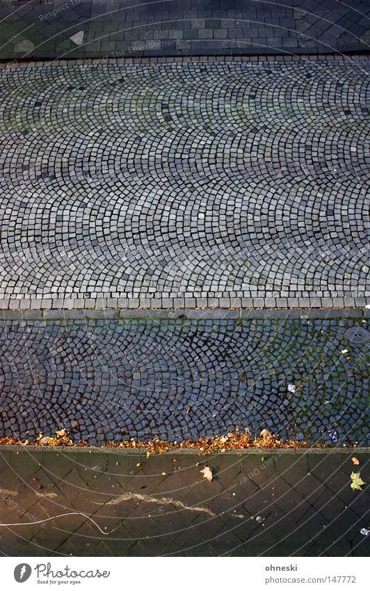 road patrol Pattern Bird's-eye view Autumn Leaf Traffic infrastructure Street Line Tall Above Blue Gray Sidewalk Curb Cobblestones Empty Graphic Parking lot