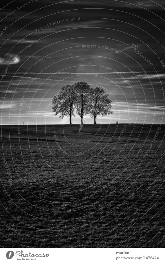 abandoned trio Human being 1 Landscape Plant Sky Clouds Horizon Weather Beautiful weather Tree Grass Meadow Hill Walking Esthetic Black White To go for a walk 3