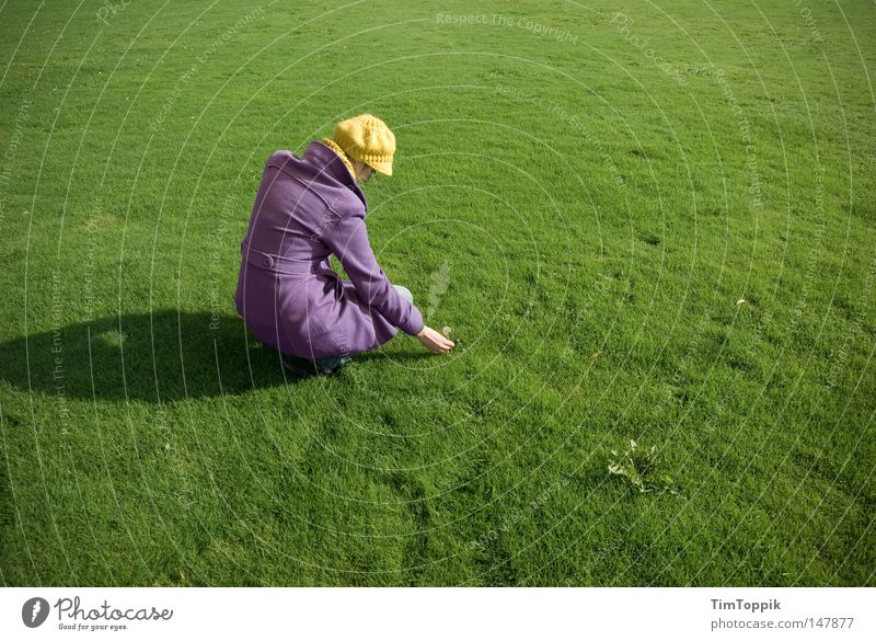 Pick it! Woman Lawn Grass surface Meadow Green Grass green Cap Coat Baseball cap Violet Park Yellow Converse Contrast Plant Dandelion Nature Garden Peace