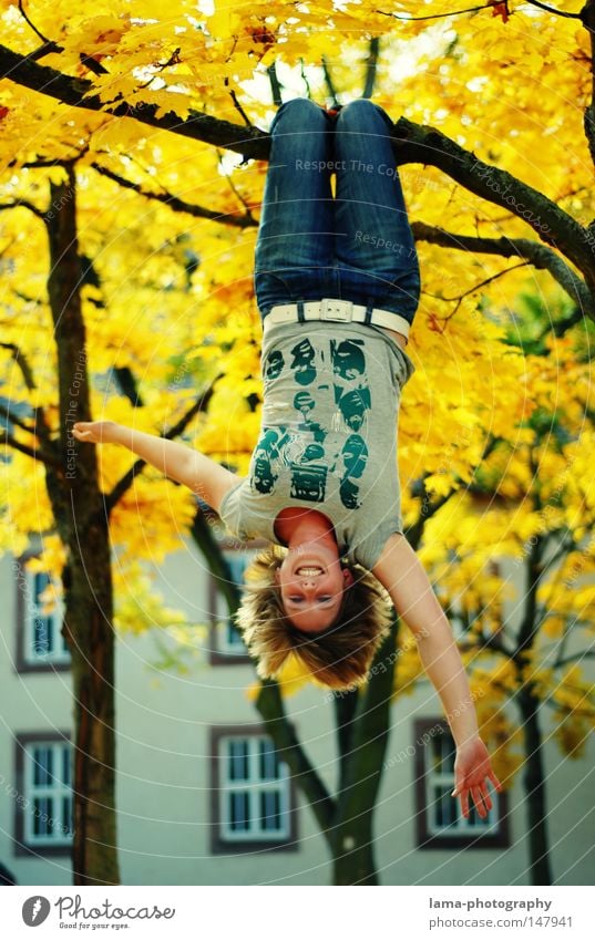 tree(s) Autumn Autumnal Leaf Gold Shadow Dream Daydream Dangle Hang Climbing Joy Youth (Young adults) Droop Relaxation Deciduous tree Tree Woman Free Freedom