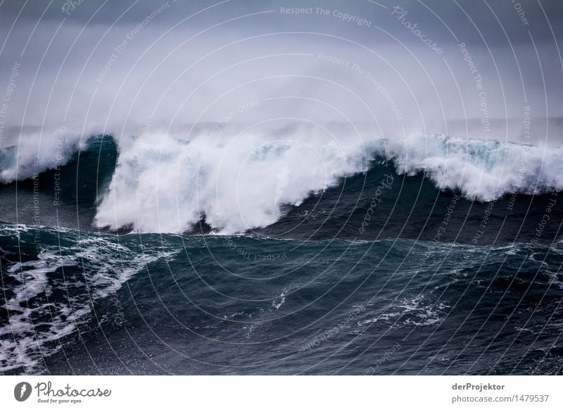 Two monster waves in Madeira Vacation & Travel Tourism Far-off places Freedom Environment Nature Landscape Plant Animal Water Winter Bad weather Storm Gale