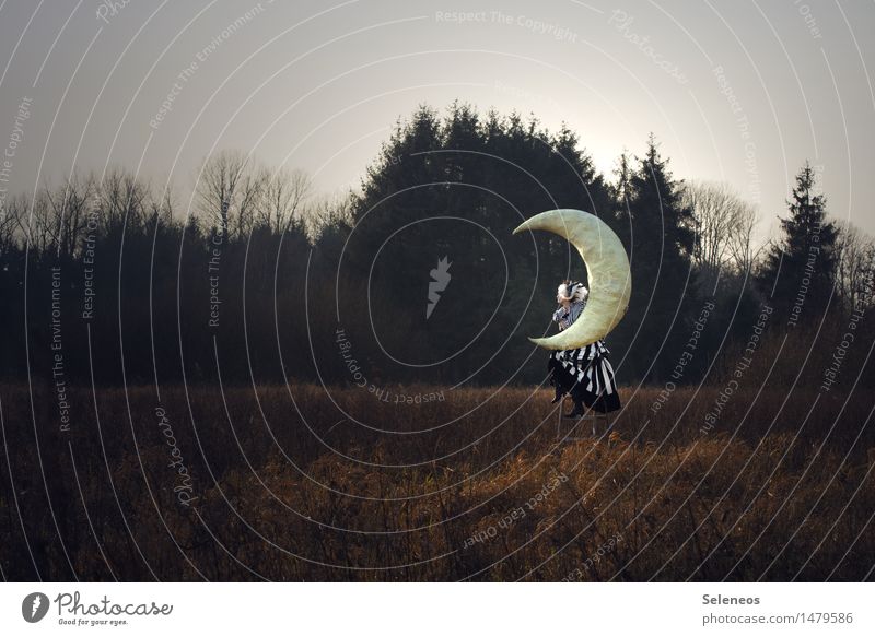 moonstruck Human being Feminine Woman Adults 1 Environment Nature Landscape Sky Clouds Moon Autumn Tree Meadow Field Dream Longing Fantasy literature