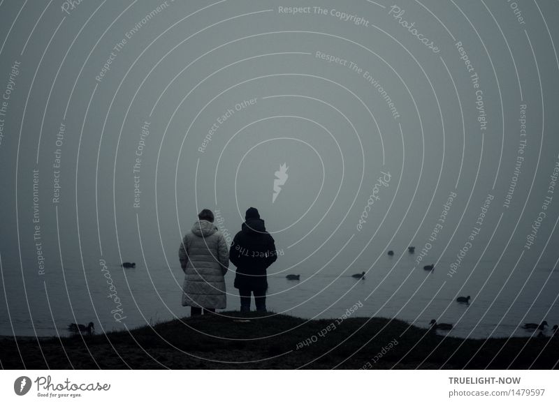 Mother and son in fog by river quietly watching ducks Harmonious Relaxation Calm To go for a walk Beach Winter Human being Masculine Feminine Young man