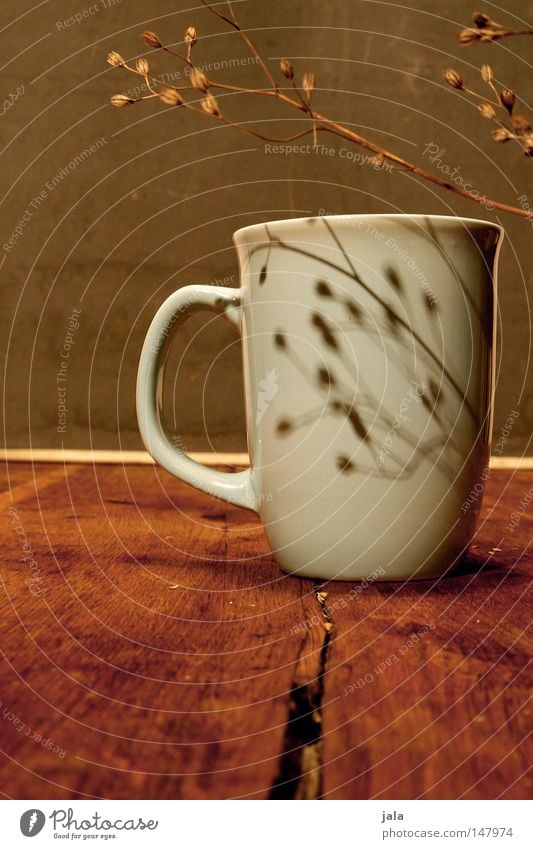 Good morning! Good morning! Cup Table Light blue Structures and shapes Arrangement Wood Shadow Plant Dry Still Life Gray Brown Coffee Tea Soft Kitchen