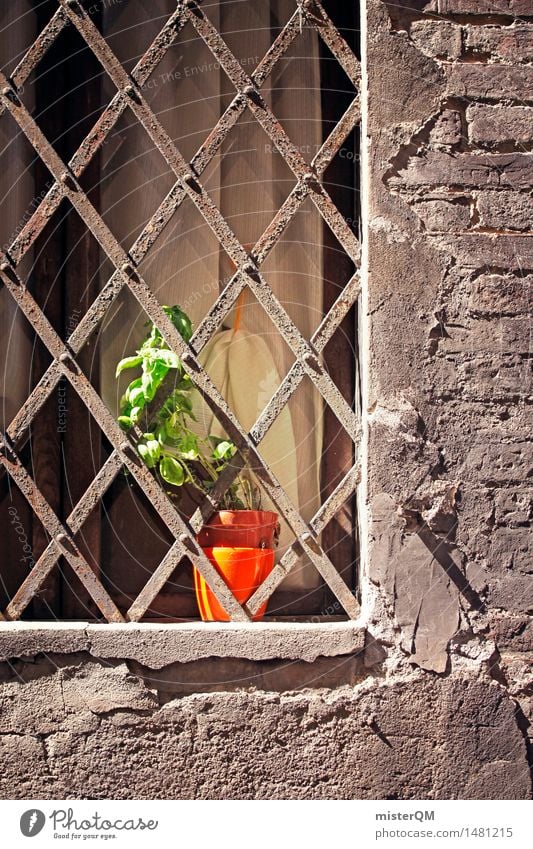 Kitchen spice. Art Esthetic Window Basil Grating Mediterranean Decent Second row Window board Colour photo Multicoloured Exterior shot Detail Experimental