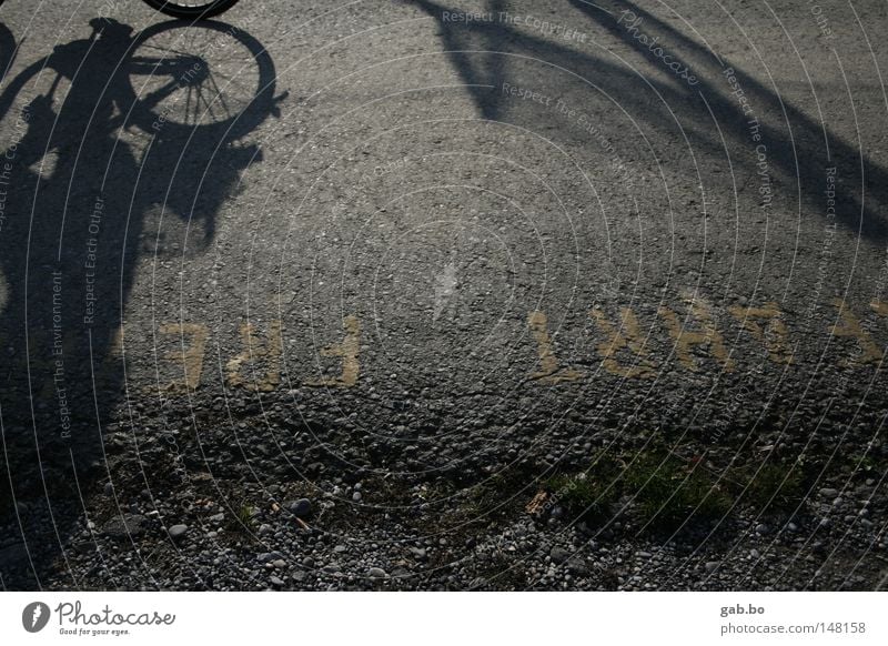 free.trip Street Dynamics Speed Bicycle Tire Shadow Perspective Light Reflection Asphalt Arrangement Pebble Green Leaf Free Freedom Leisure and hobbies Movement