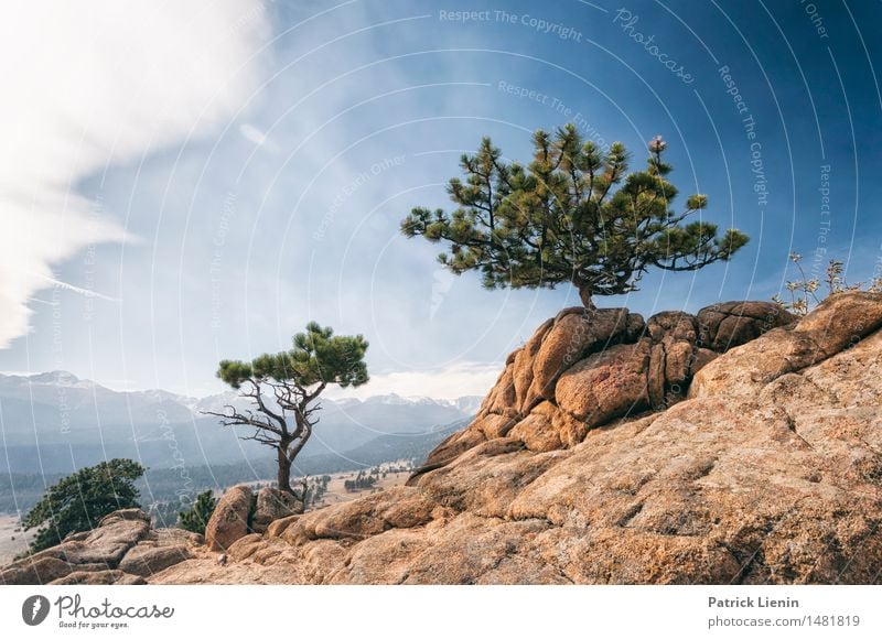 Rocky Mountains National Park Contentment Senses Vacation & Travel Tourism Adventure Hiking Environment Nature Landscape Sky Clouds Summer Climate