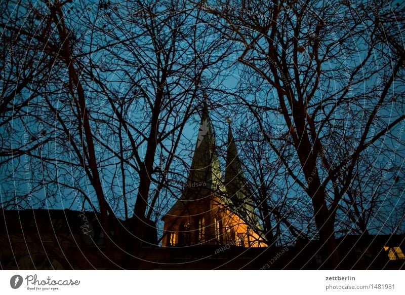 church Religion and faith Church Berlin Nikolai Church Church spire Evening Bright Sky Heaven Illumination Light Night Christmas Fair Copy Space Deserted