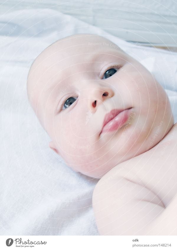 Baby years | being cared for. Toddler Child portrait Looking Facial expression Skin Body fat Naked White Life Hugs Watchfulness Serene Contentment Small Round