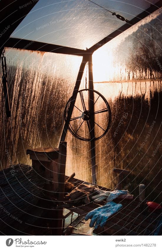 In the greenhouse Greenhouse Wheel Gloves Things Corner Glass wall Condensation Metal Illuminate Old Wet Moody Calm Idyll Peaceful Still Life Drops of water