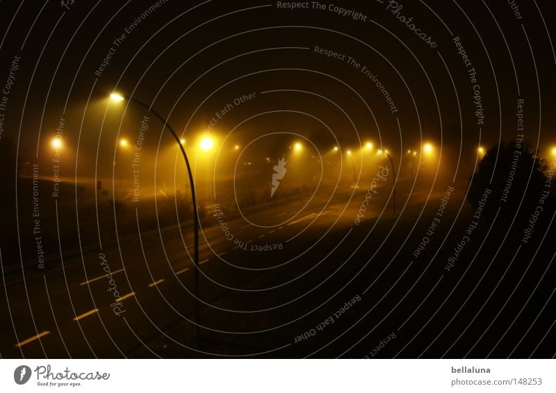 Night and fog action Lamp Weather Fog Rain Tree Bridge Traffic infrastructure Street Lanes & trails Dark Bright Emotions Moody Longing Perspective Direction